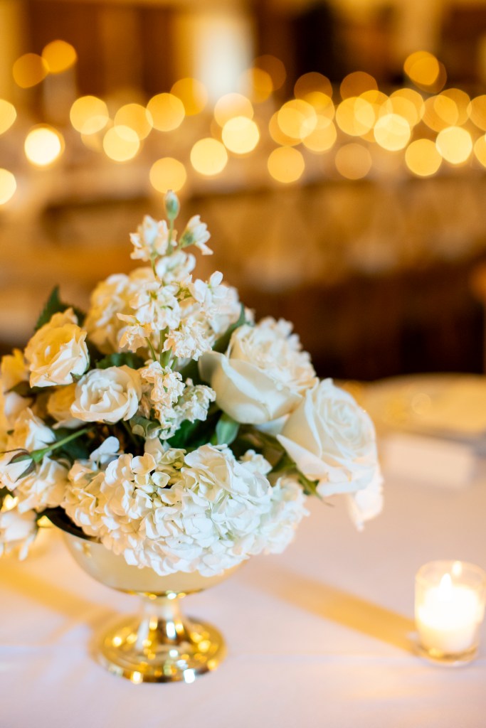 Amanda Barnes Photography